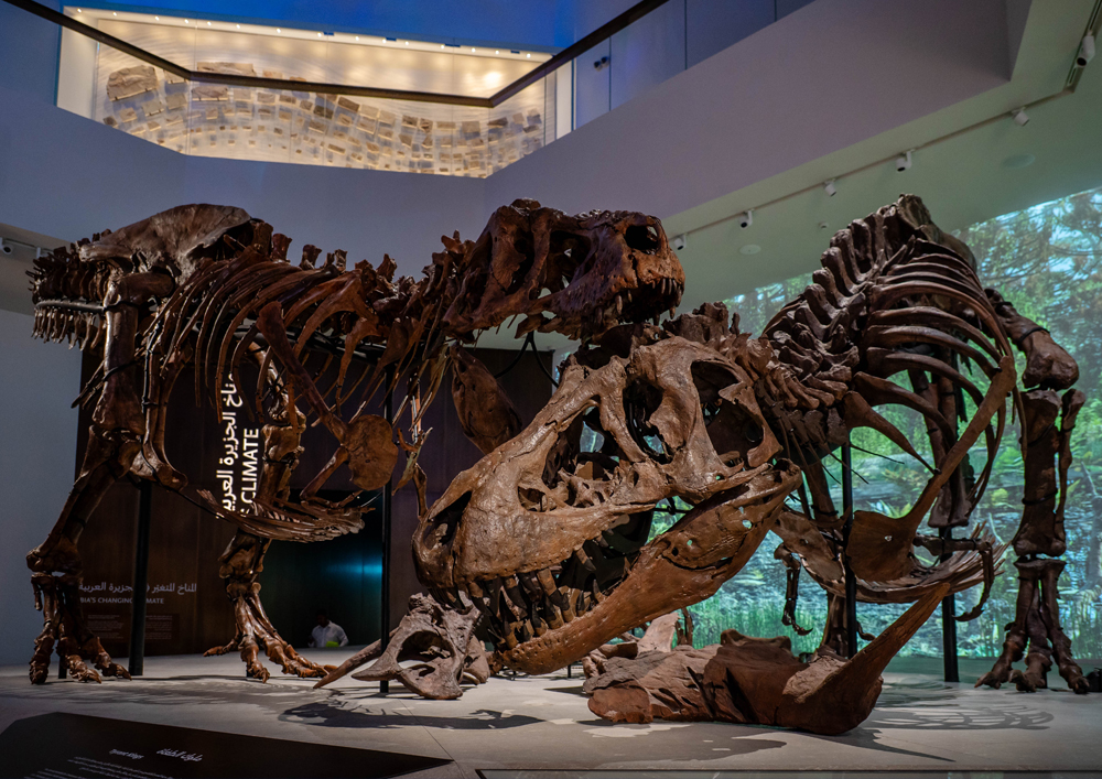 2025 11 24 Natural History Museum Abu Dhabi Opens to the Public 2